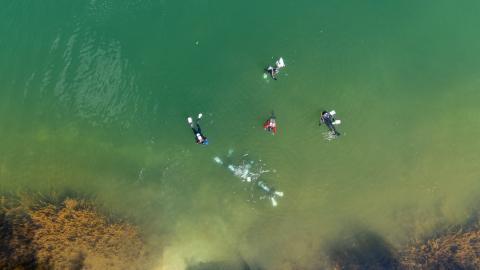 Drohnenaufnahme von Tauchern im Senftenberger See