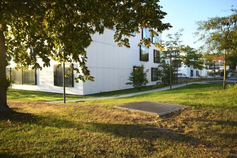 Clemens-Winkler-Bau Nordflügel und Bäume von der Leipziger Straße aus