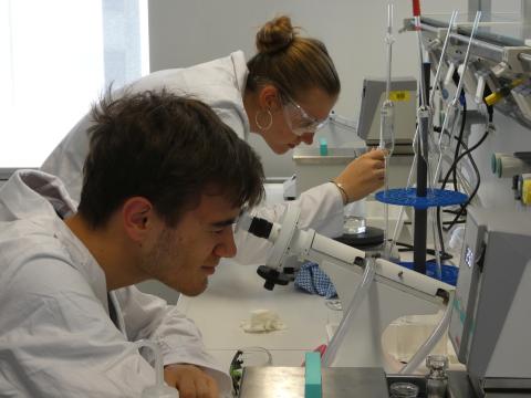 Schülerin und Schüler im Praktikum Physikalische Chemie