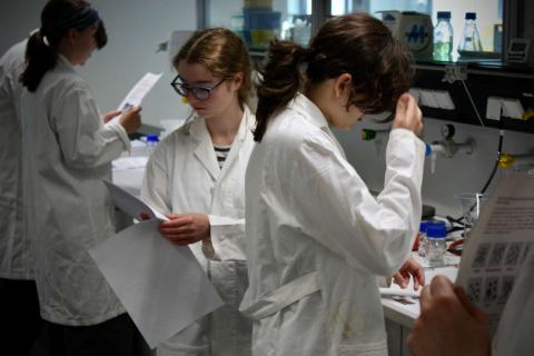 BioNanoTec-Woche 2025