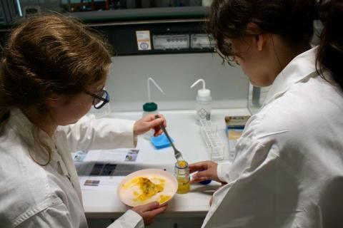 BioNanoTec-Woche 2025