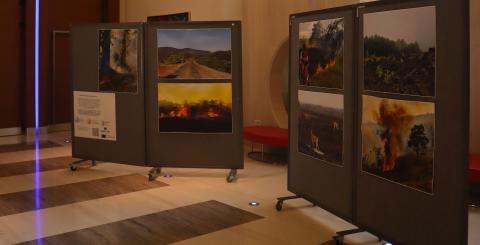 News_ConferenceResponsibleConsumption Galery 8