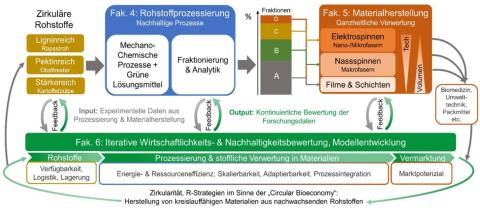 Project structure ESF junior group "BIOWIN"