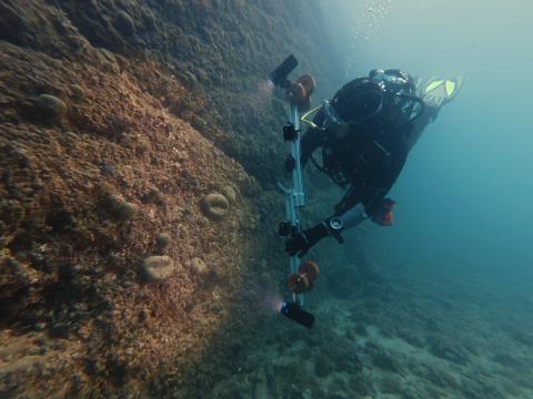 Taucher während der photogrammetrischen Aufnahme der Hafenmauer