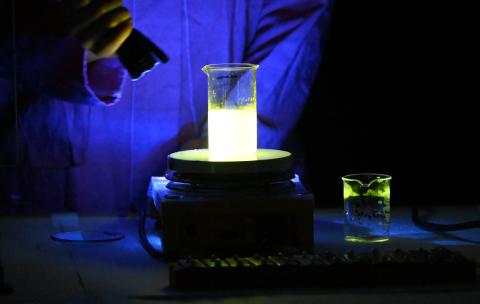 Weihnachtsvorlesung 2025