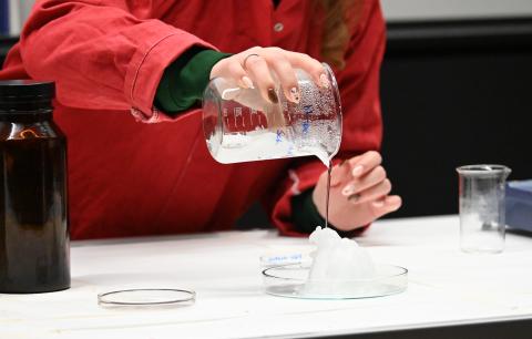 Weihnachtsvorlesung 2025