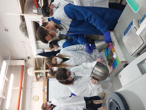 Workshop während des Projekttreffens in Liberec