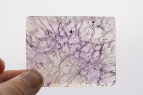 Amethyst, Fundort unbekannt, Inv.-Nr. 109686