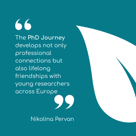 PhD Journey Testimonial 3
