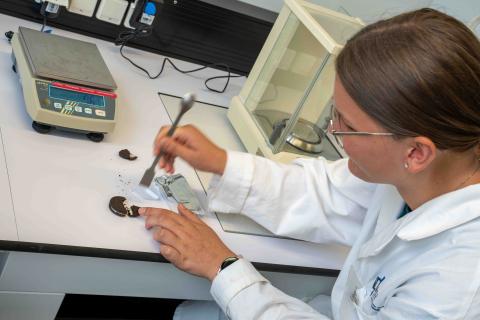 Schülerin im Praktikum