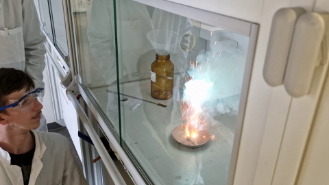 Schüler im Praktikum
