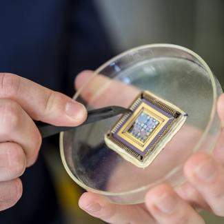 Das Bild zeigt eine Petrischale mit einem Mikrochip, den jemand mit einer Zange bearbeitet.