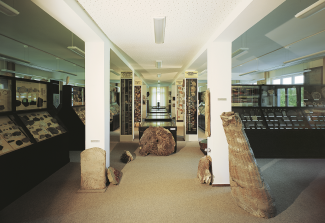 Paläontologische Sammlung, Humboldt-Bau
