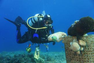 Wissenschaftlicher Taucher Unterwasser von einem Untersuchungsobjekt