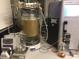 Das Foto zeigt einen Bioreaktor mit Flüssigkeit im Labor