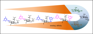 Binding affinity of various tripodal molecules with sugars