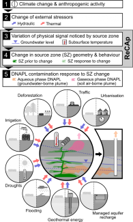 Idealized concept for exemplary impacts (circles) noticed by DNAPL source zones (green) that may respond with different geometry and behavior (modified after [1]). In ReCAp, hydraulic / thermal stressors (red and blue arrows) will be simplified to defined variation signals for groundwater level and subsurface temperature. Being adjustable at the laboratory scale, these signals will allow a detailed process study using both experimental and model-based methods to analyze source zone formation.