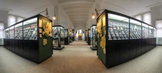 Blick in die Ausstellungsräume der Lagerstätten-Sammlung