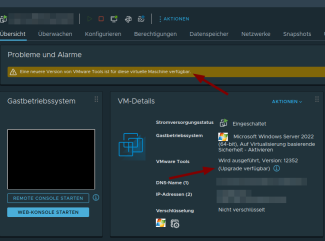 Screenshot VMware-Tool