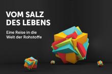 Logo Rohstoffausstellung "Salz des Lebens"