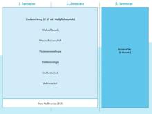 Die Grafik zeigt den Studienablaufplan für den Master Materialwissenschaft und Werkstofftechnologie.  Eine barrierearme Darstellung finden Sie in der verlinkten PDF-Datei.