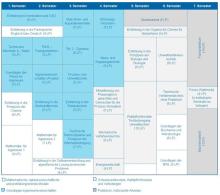 Die Grafik zeigt den Studienablauf des Bachelors Umwelttechnik.