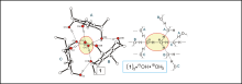 Organic molecule interacting with a water cluster