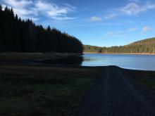 Weg zu einem See