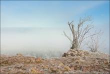 Frost auf Berg