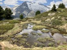 Pfütze vor Berg