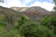 Humboldt-Bonpland-Stiftung