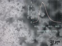 Mikroskopische Darstellung von Mikropartikeln mit einem eingeblendetem PL-Spektrum