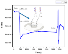 electromechanical biosensors 2