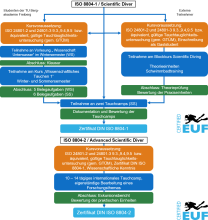 Ausbildungsübersicht Wissenschaftliches Tauchen 