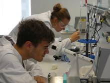 Schülerin und Schüler im Praktikum Physikalische Chemie