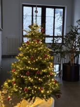 Weihnachtsbaum am Institut für Geotechnik
