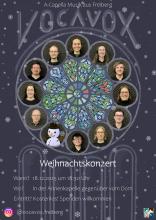Ankündigungsplakat des VocaVox Konzerts