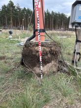 Messfeld Sedlitz - Grundwassermessstelle