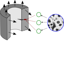 Bruchprozesszone eines Risses per neuronalem Netz mit Gefüge verknüpft