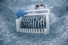 77. BHT _ Silicon Days