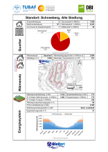 Quartierssteckbrief Schneeberg - Alte Siedlung (Seite 1)