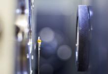 Probe im Röntgentomograf.