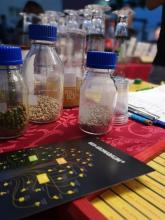 Fläschen mit körnigem Inhalt, im Hintergrund leere Biergläser