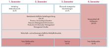 Das Bild zeigt den Studienablauf im Master BWL