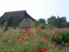 Biodiversitätsforschung Vilm