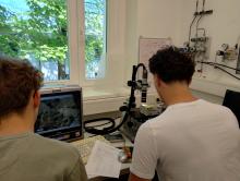 Praktische Laborarbeit am IBF
