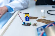 Leiterplatte aus Pilzmyzel für den Test der Funktionsfähigkeit. Nach der Verwendung kann die Leiterplatte kompostiert werden ohne, dass die Transistoren beschädigt werden.