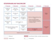 Die Grafik zeigt den Studienablaufplan für den Bachelor Betriebswirtschaftslehre. Eine barrierearme Darstellung finden Sie in der verlinkten PDF-Datei.