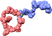 Diblock-Polymer